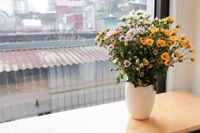 Tofu's House - A place called Home – Foto 10