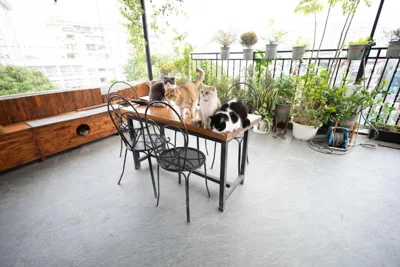 Tofu's House - A place called Home – Foto 11